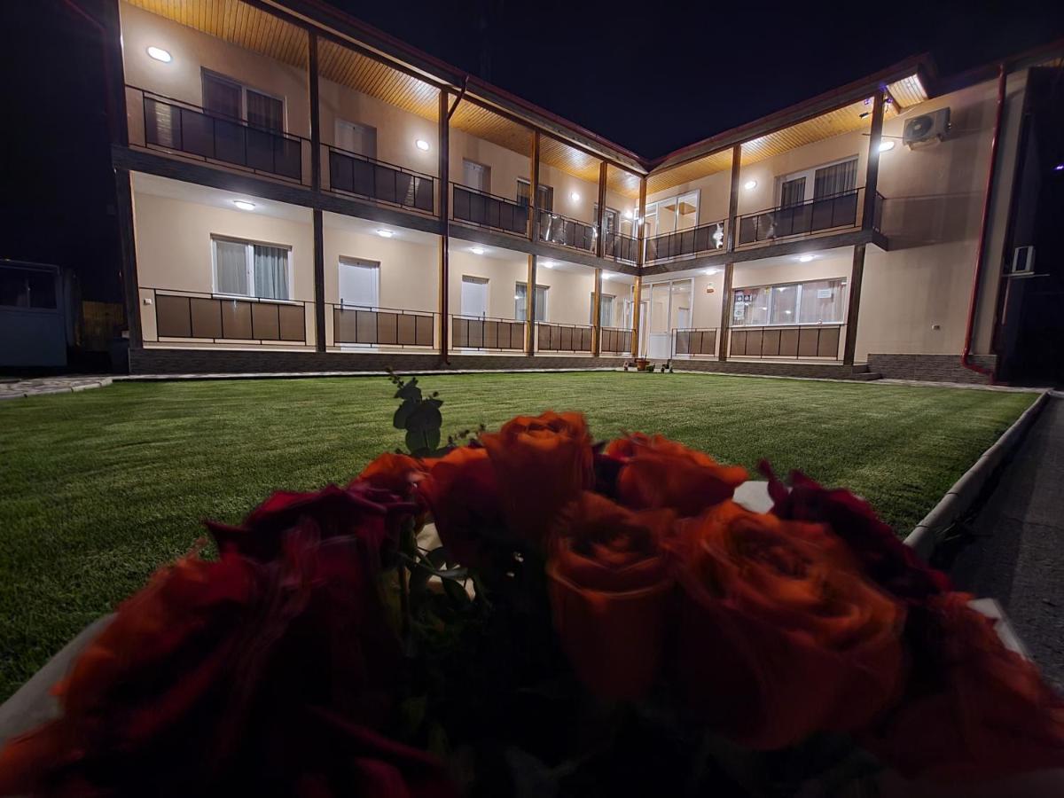 Vila Sophia Vama Veche Exteriér fotografie