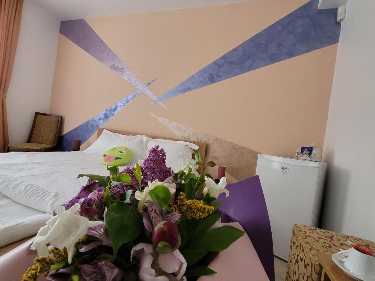 Vila Sophia Vama Veche Exteriér fotografie
